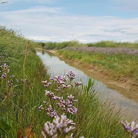 La Cabane Des Dunes A Fort-Mahon Plage Экстерьер фото
