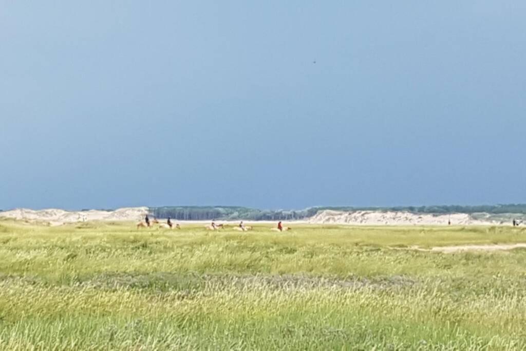 La Cabane Des Dunes A Fort-Mahon Plage Экстерьер фото